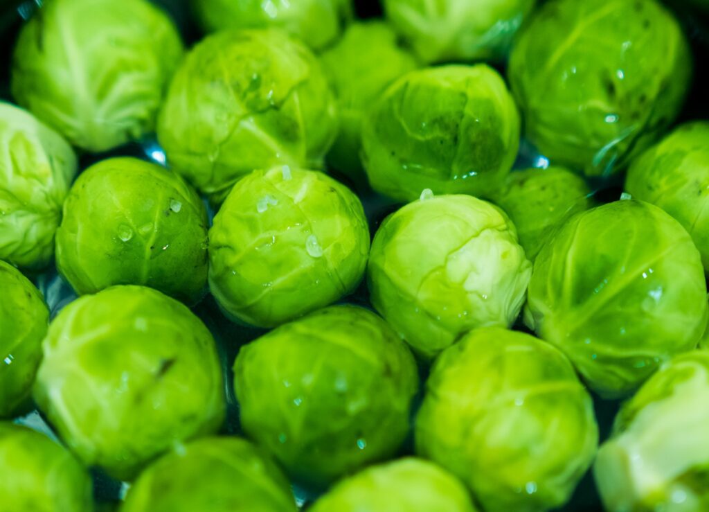 Can dogs eat brussels sprouts? Can dogs eat brussels sprouts safely?