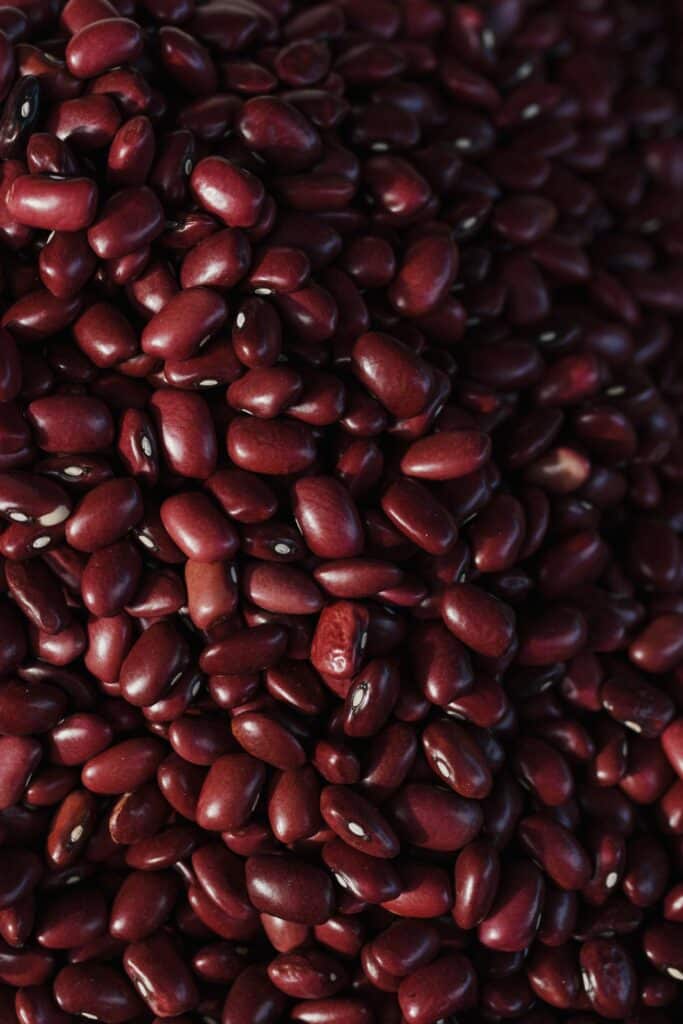 Can Dogs Eat Kidney Beans