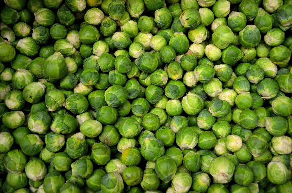 Can dogs eat brussels sprouts? Can dogs eat brussels sprouts safely?
