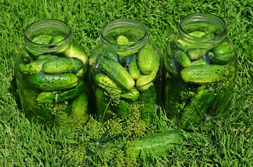 are pickles safe for dogs