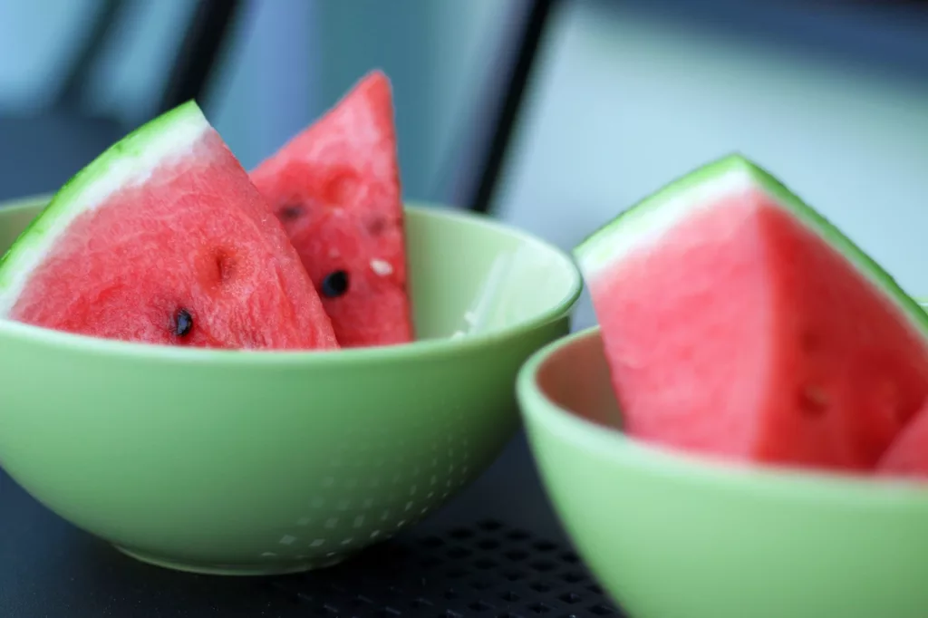 watermelon for cats