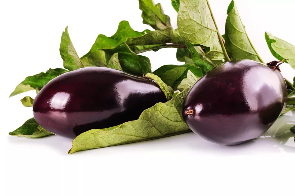Reasons why dogs can eat eggplant