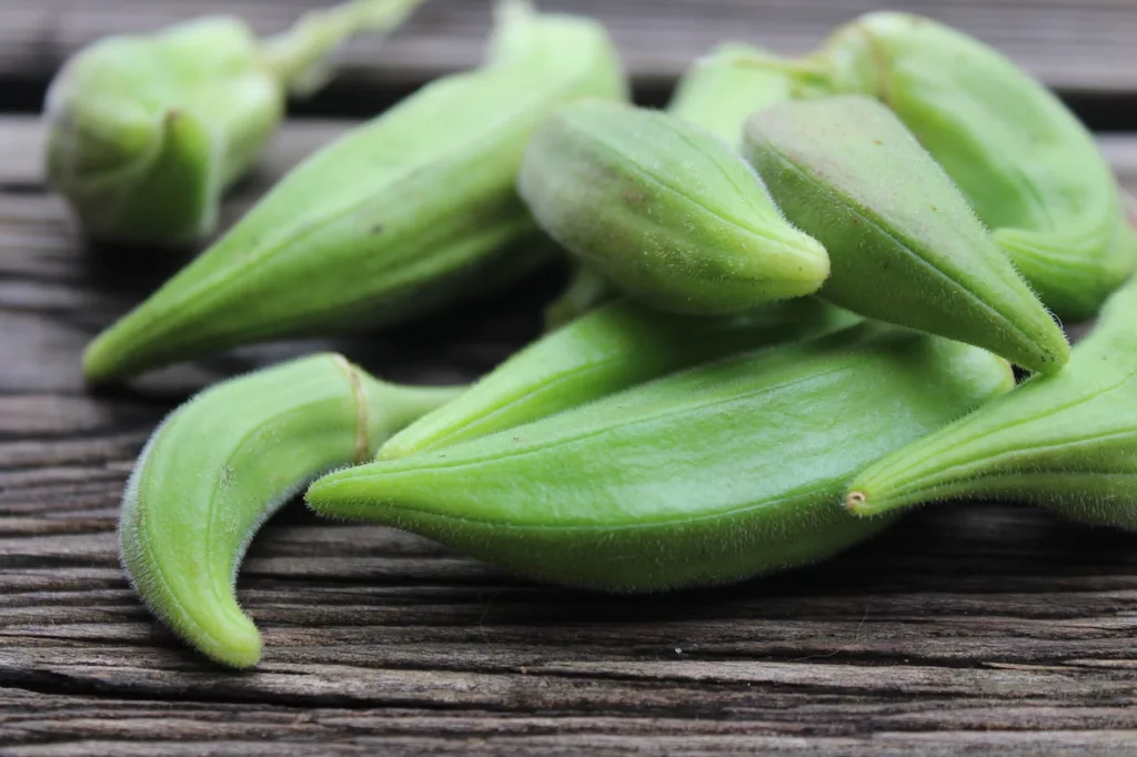 is okra bad for dogs
