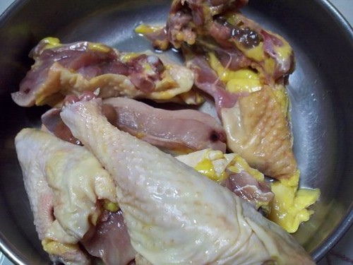 Grilled chicken breast for dogs