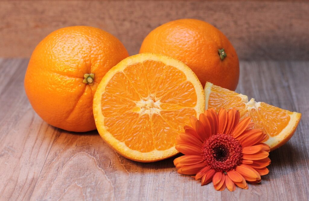 Can dogs eat oranges , oranges, citrus fruits, fruits