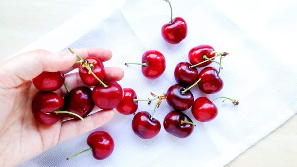 red cherries on white textile
Can dogs eat cherries