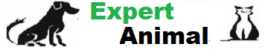 expert animal