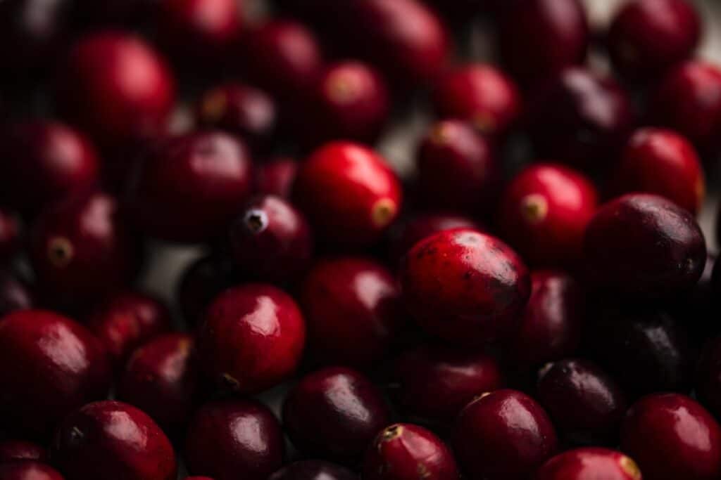  Can dogs eat cranberries? 
shallow focus photography of red berry lot