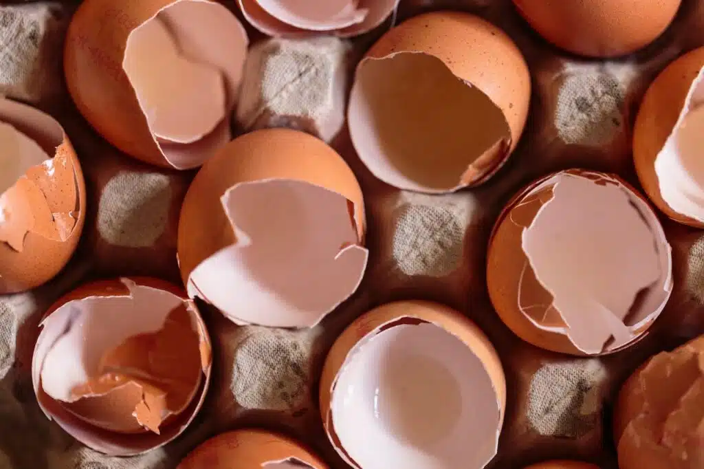 a bunch of eggs that have been broken in half